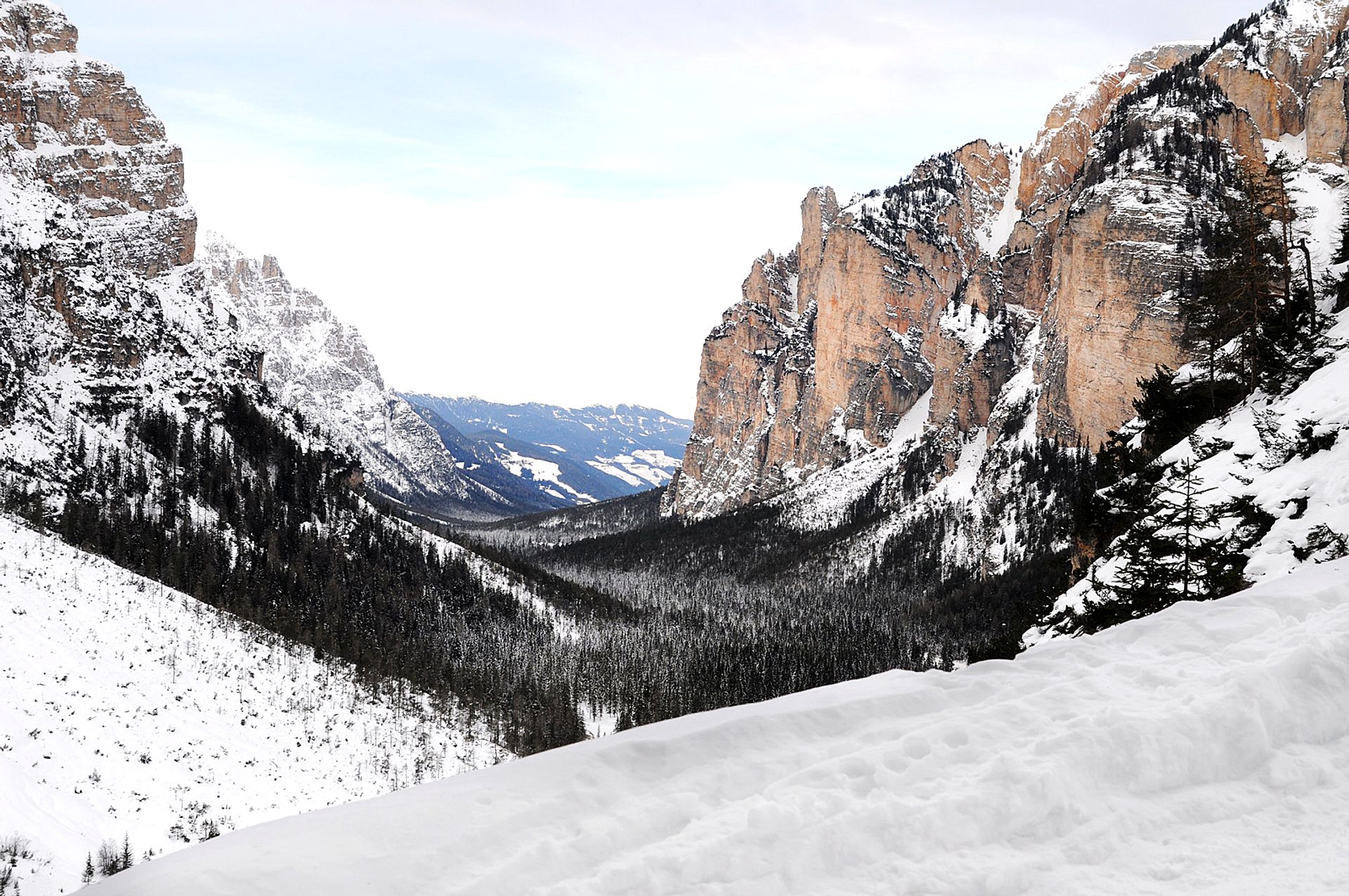 DSC_0907.JPG