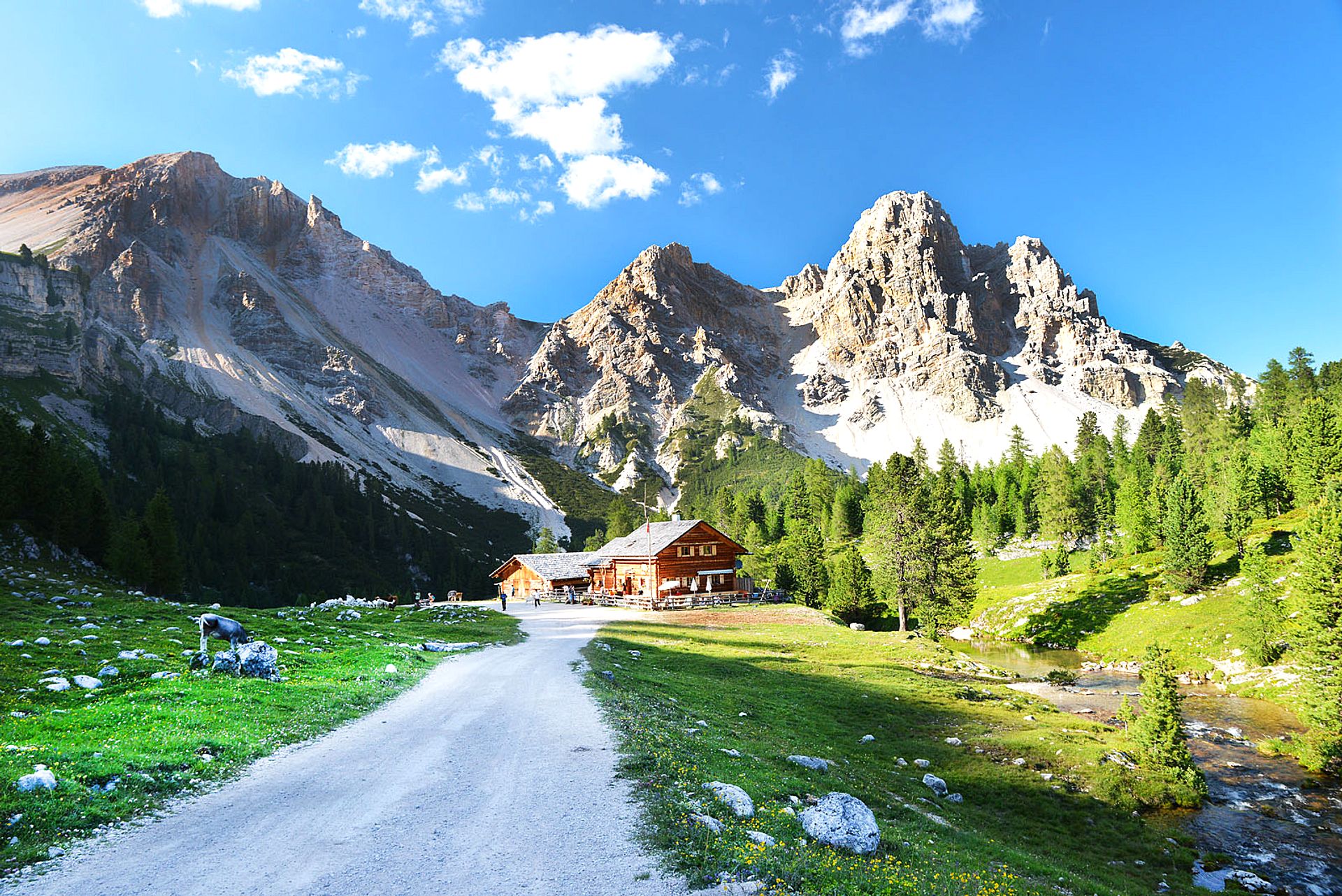 DSC_2022.JPG