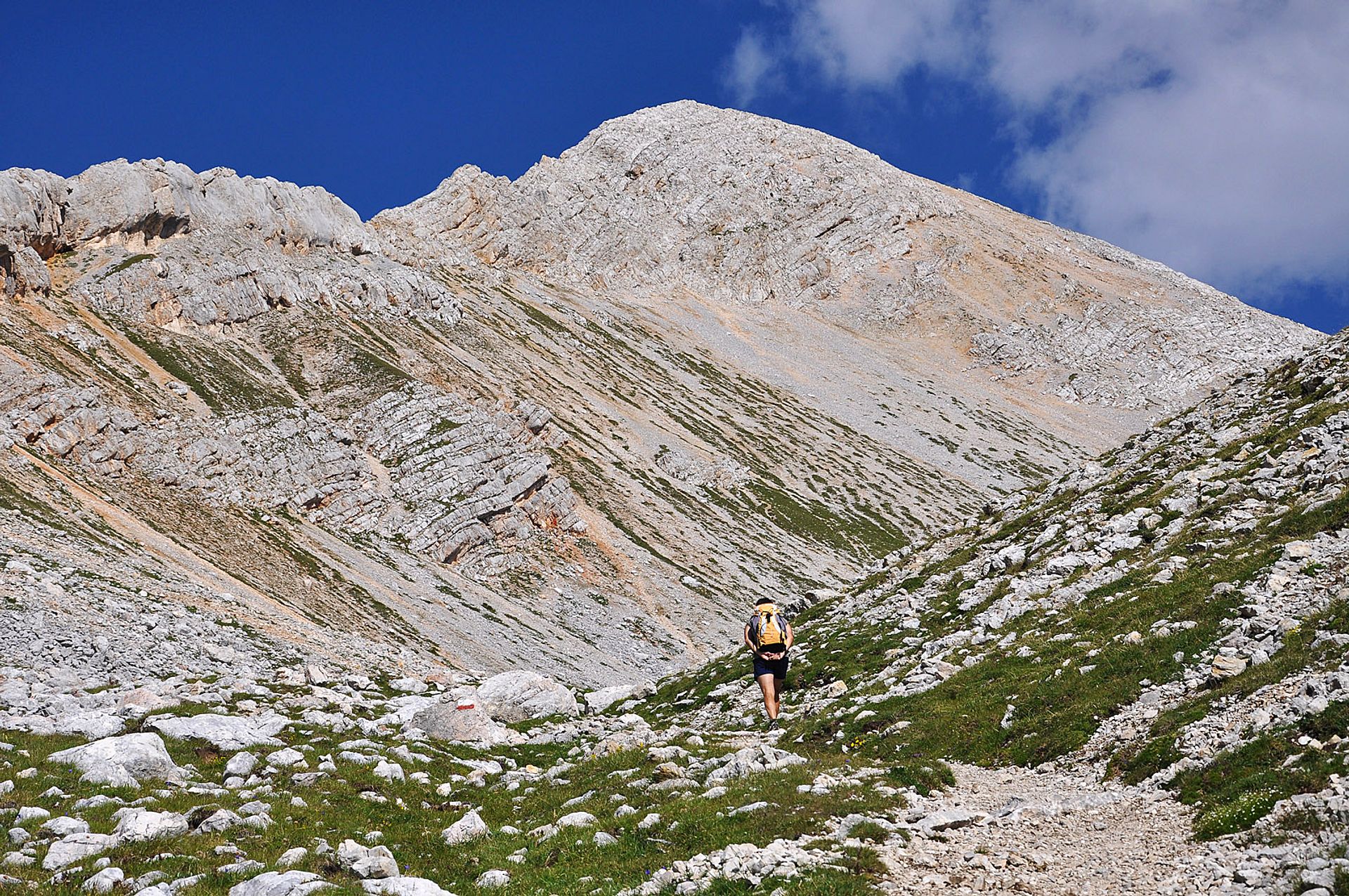 Hike to the summit